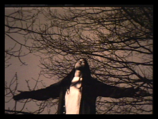 An individual with long dark hair is standing with their arms outstretched and head tilted back towards the sky. Behind them is the silhouette of a leafless tree with many intertwining branches, and the image has a sepia-toned, grainy quality, suggestive of a scene from an old film.