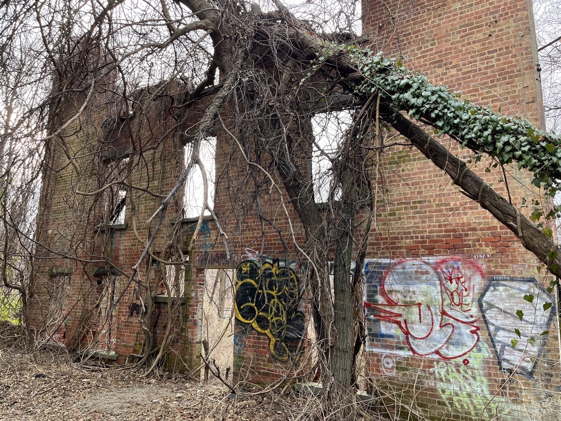A dilapidated brick structure with bare trees and vines growing over it. Indescribable graffiti adorns the wall. 