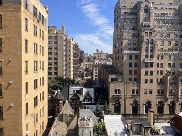 Photo of tall brown buildings with intricate adornments from twelve stories up