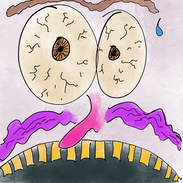 A drawing of an extreme close up of a man's face. The eyes take up most of the frame. They bug out, with dilated pupils and  exaggerated vains. The man has a long pink nose and a purple mustache. The mouth is open in an expression of fear, with thick, yellow block teeth. A single drop of sweat rolling down the face.