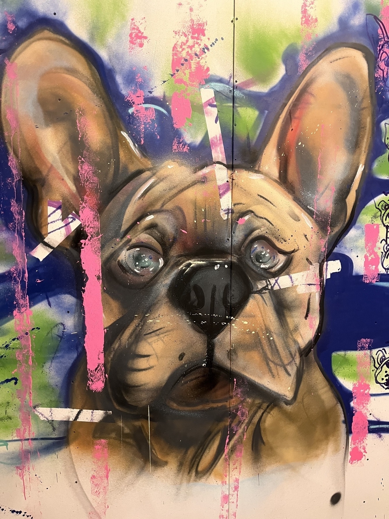 A photo of a sad eyed dog graffiti 