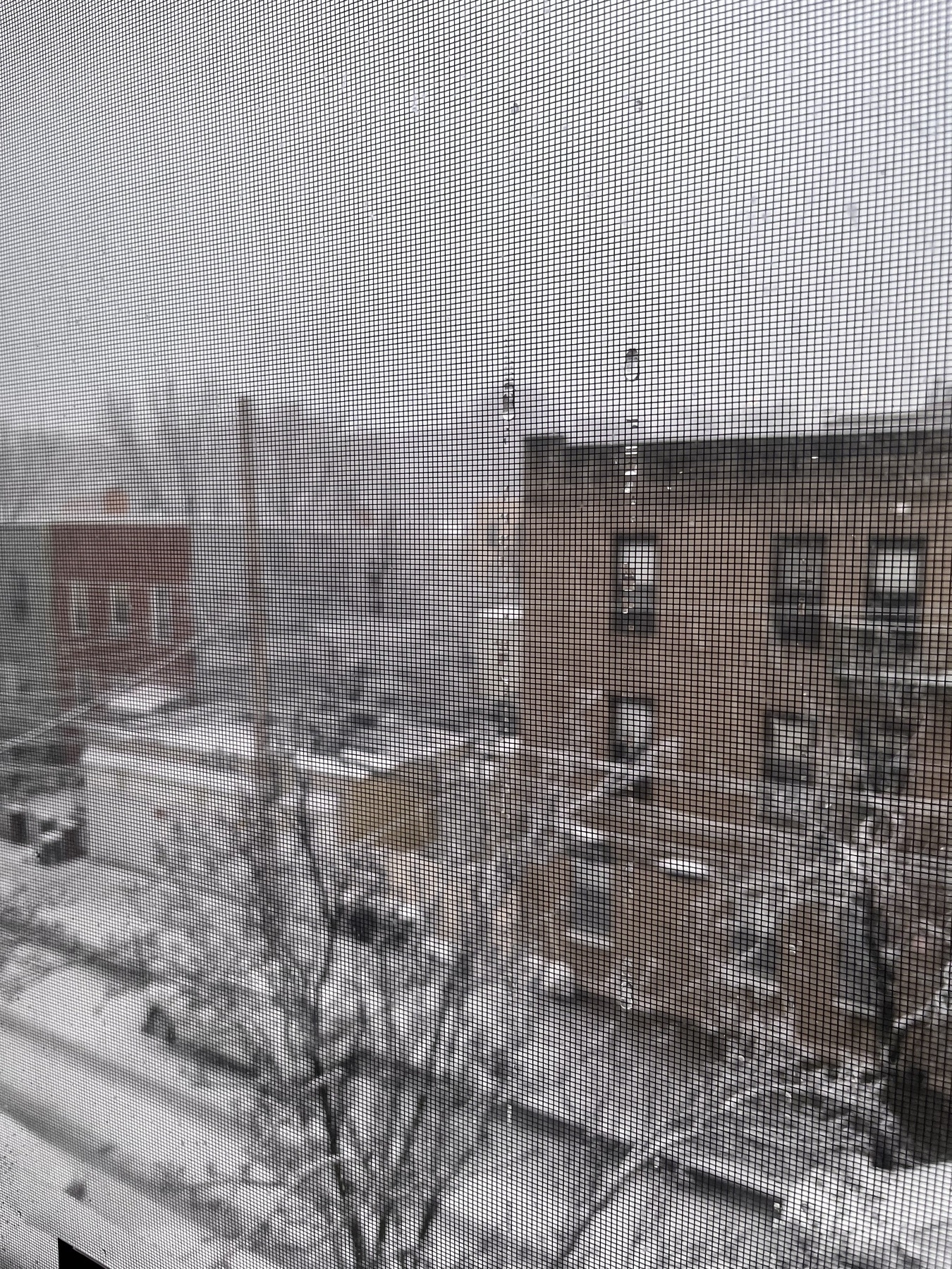 Accumulating snow as seen through my water streaked and screened window. Two and three story buildings are dusted with snow. The sky is white obscuring the bridge almost completely. 