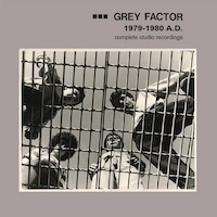 Grey Factor album cover