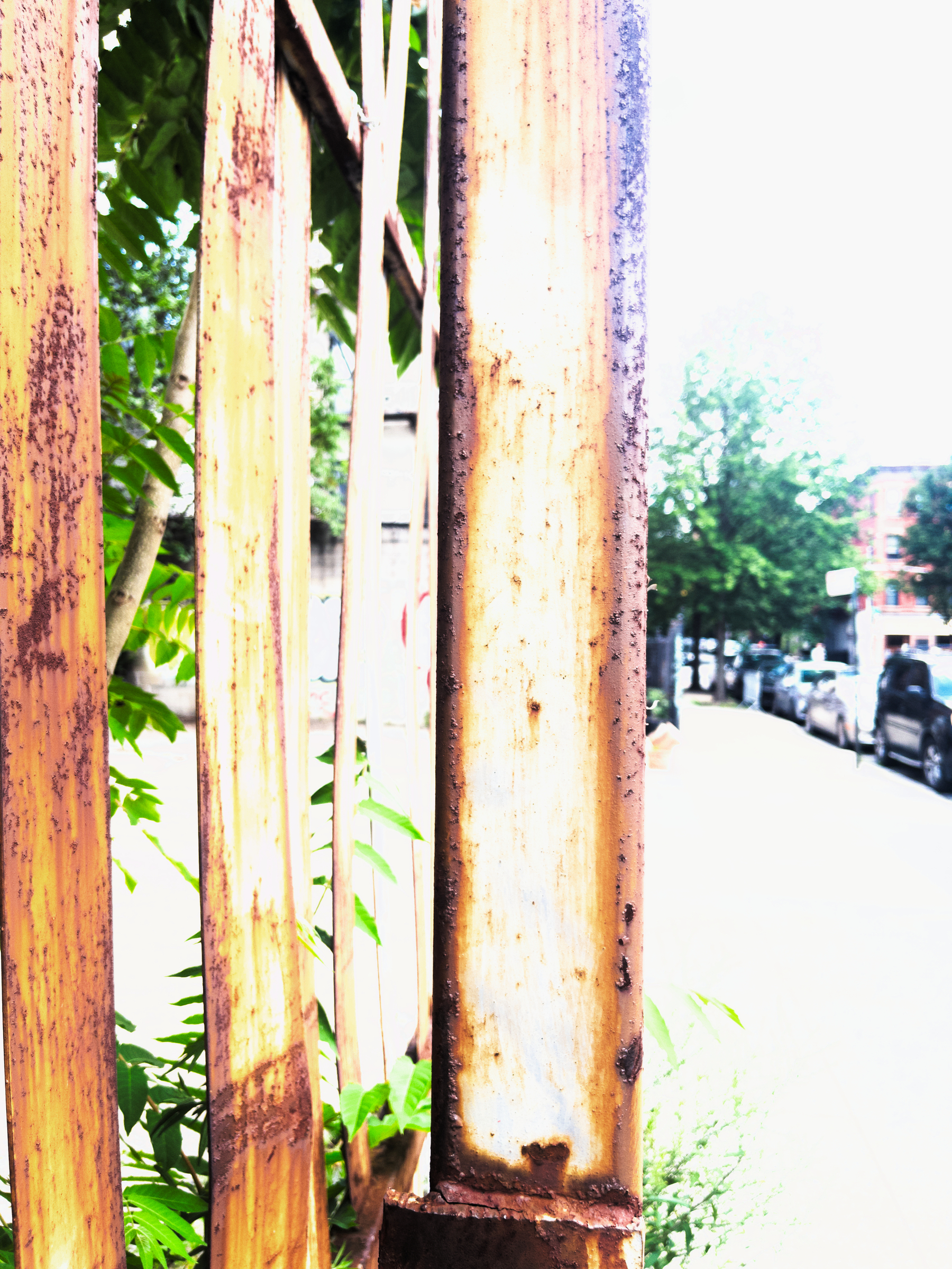 Auto-generated description: A rusty metal fence stands in front of green foliage, with a bright street and parked cars in the background.