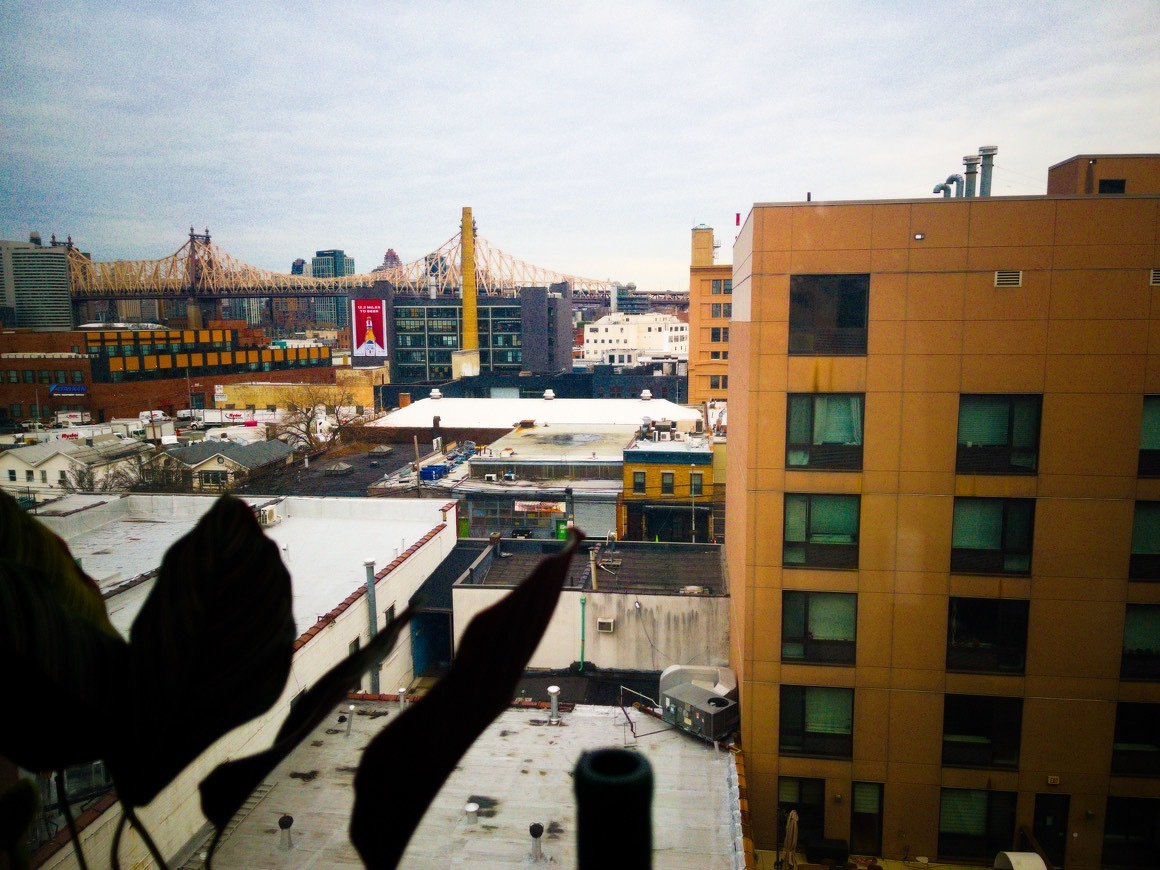 Auto-generated description: A cityscape view features buildings of various heights and a distant bridge under a cloudy sky.