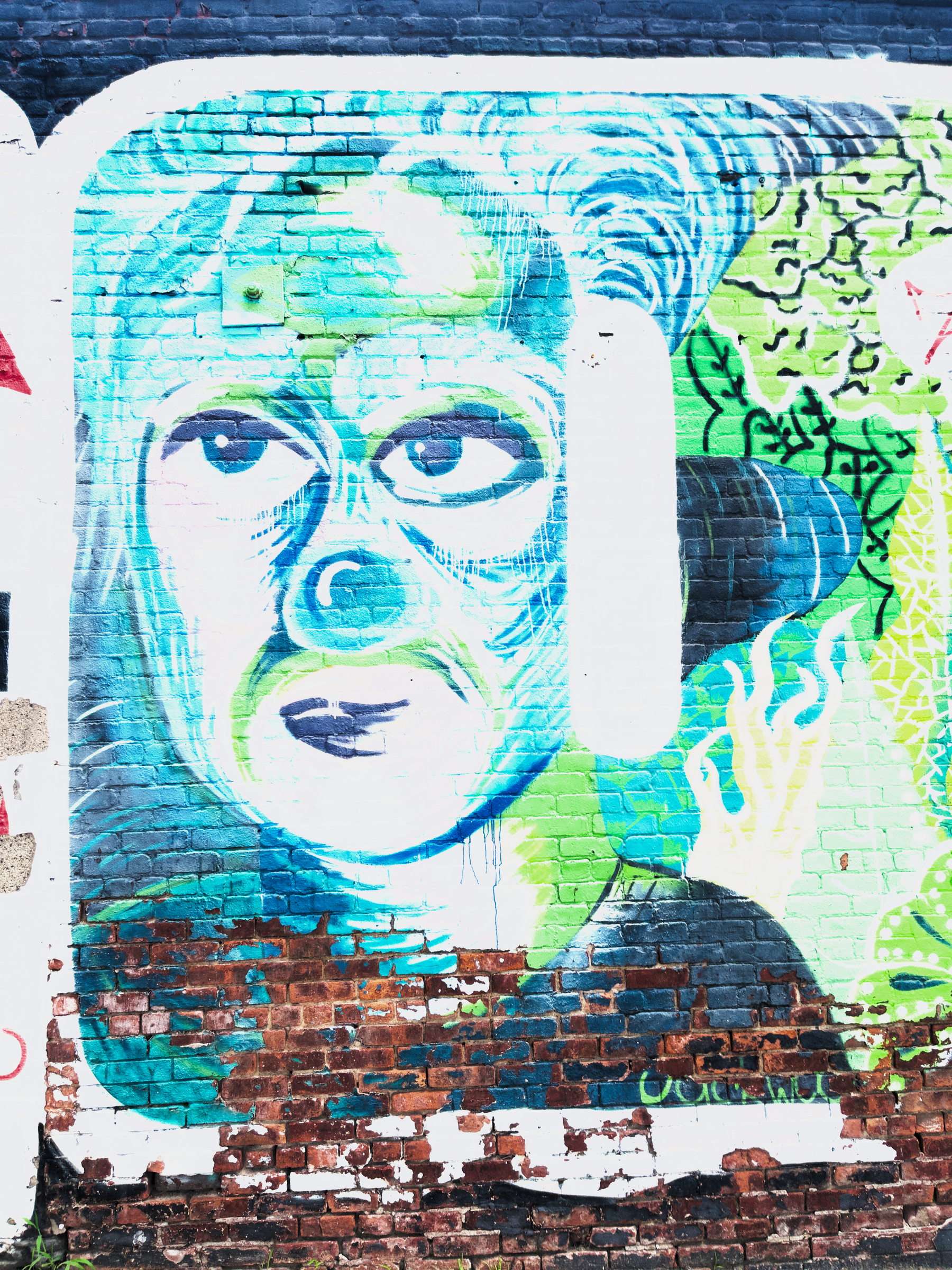 Auto-generated description: A vibrant mural on a brick wall features a stylized blue and green face with abstract elements.