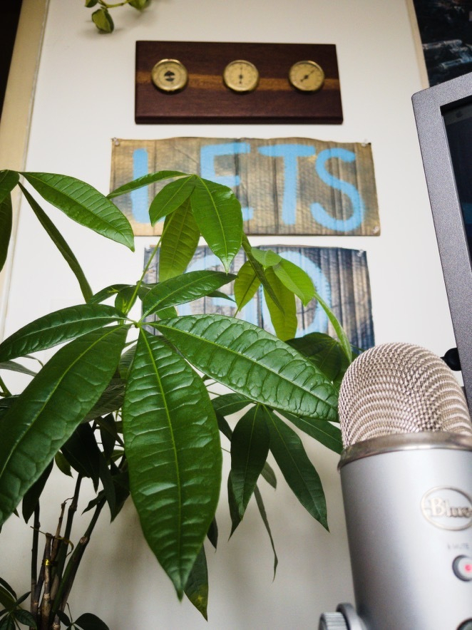 Auto-generated description: A microphone is positioned in front of a leafy plant, with a wall featuring a wooden plaque with dials and a partially visible sign that reads LETS.